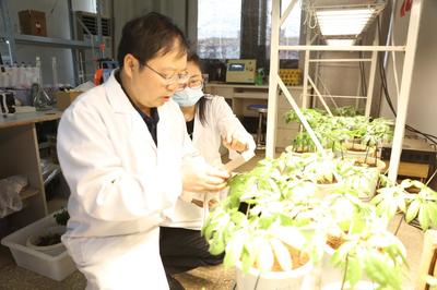 探秘昆明理工大學(xué) 走進(jìn)云南省三七資源可持續(xù)利用重點(diǎn)實(shí)驗室